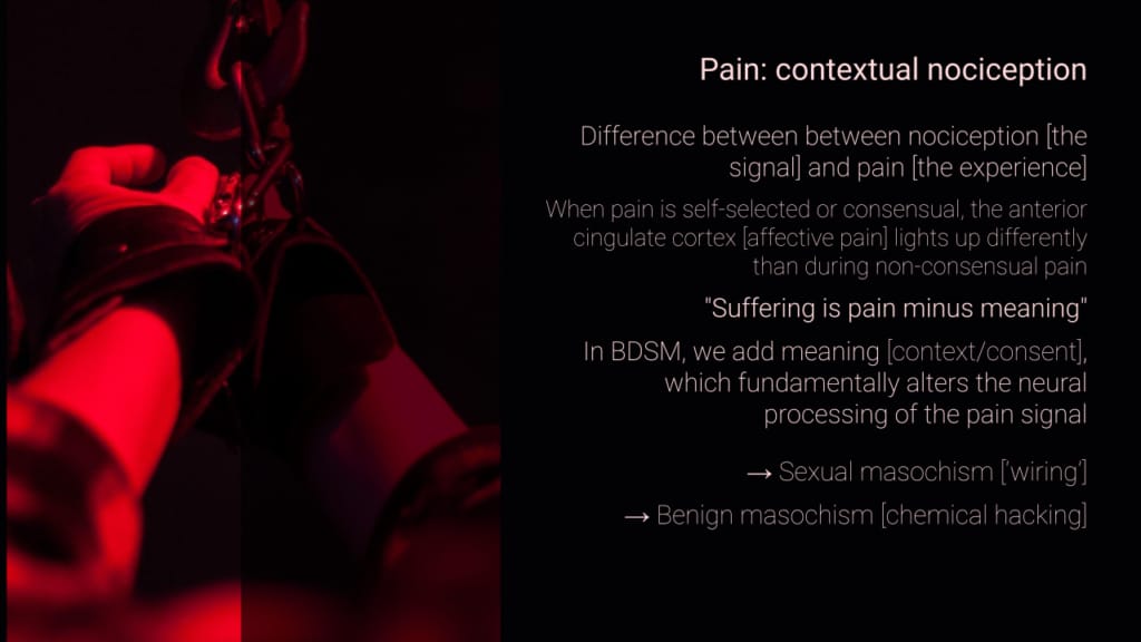 Sensation: Agony, Ecstasy & Erotic Intensity (slide)