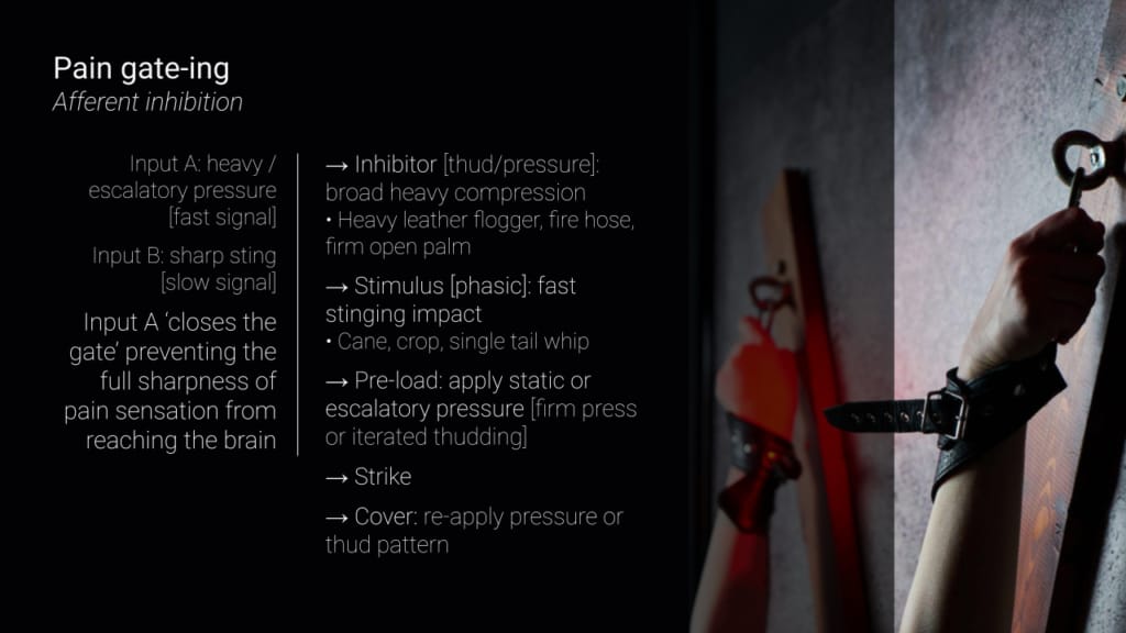 Sensation: Agony, Ecstasy & Erotic Intensity (slide)