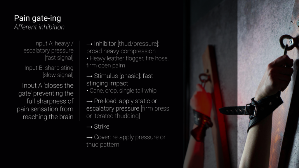 Sensation: Agony, Ecstasy & Erotic Intensity (slide)