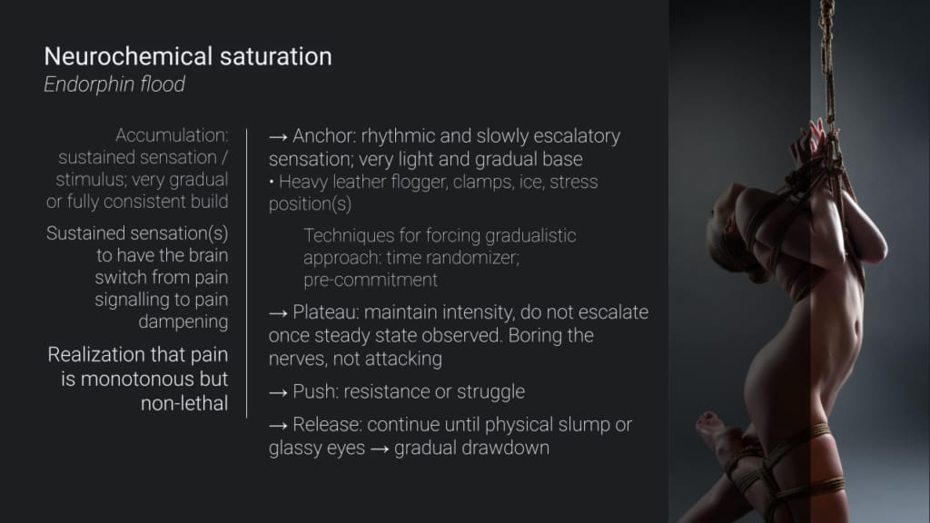 Sensation: Agony, Ecstasy & Erotic Intensity (slide)