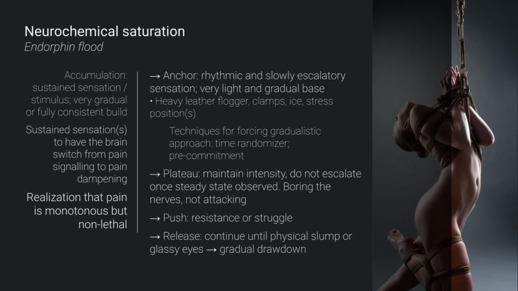 Sensation: Agony, Ecstasy & Erotic Intensity (slide)