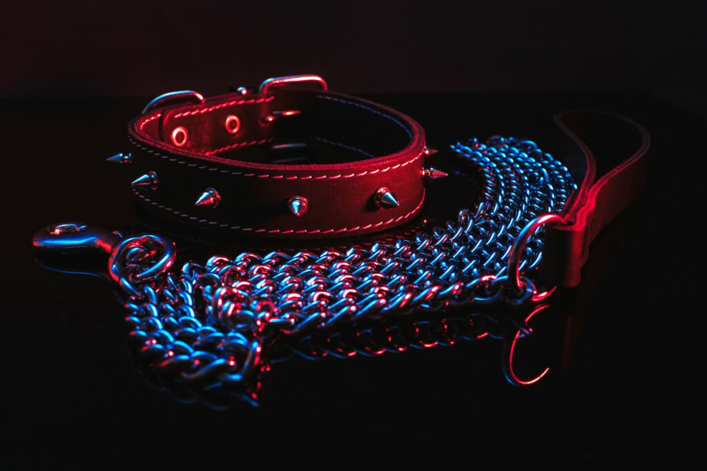 collar,and,chain,elements,of,the,bdsm,subculture